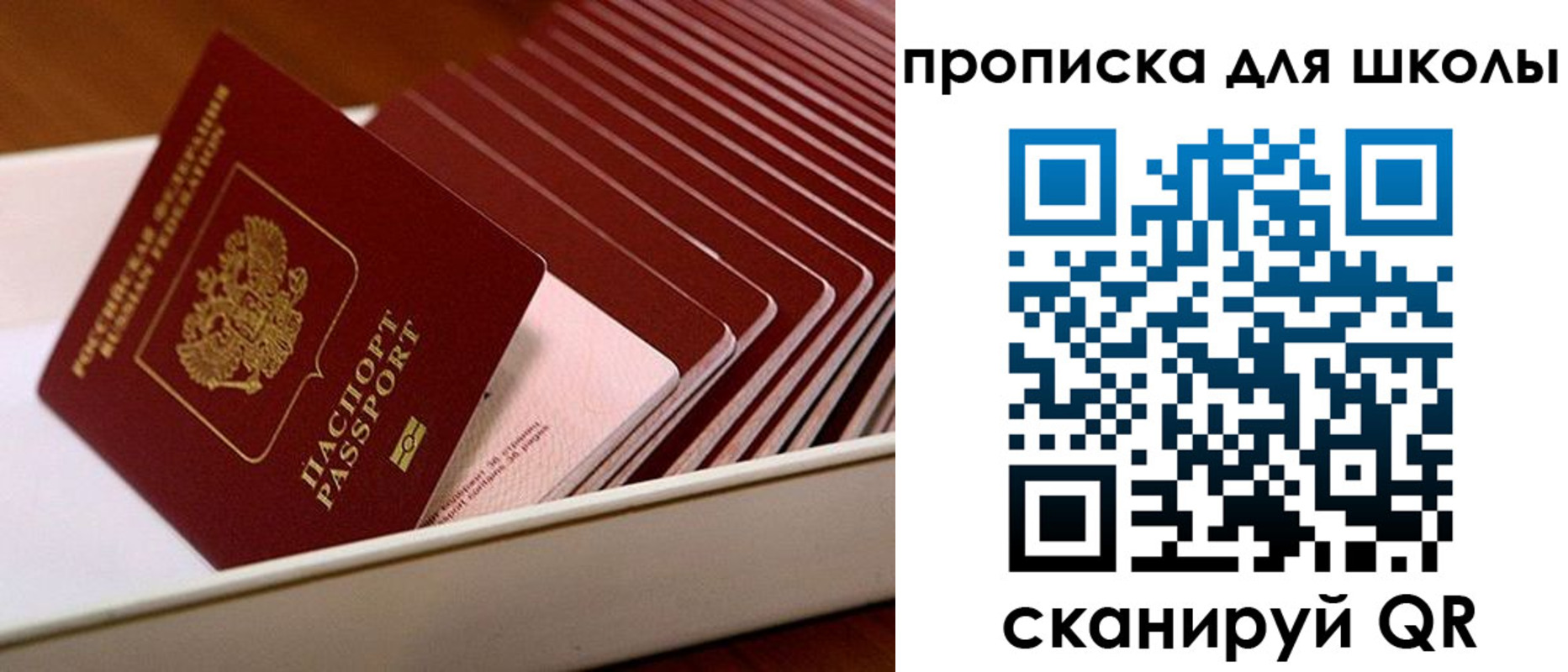 временная регистрация гарантия в Бабаево